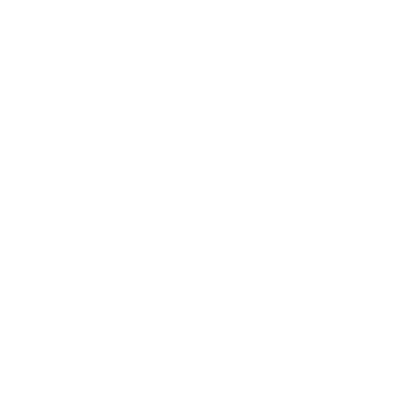 diagnostic corect icon