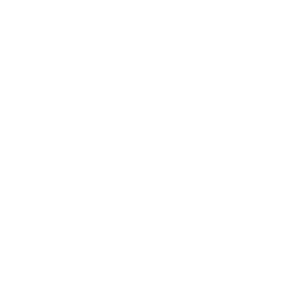 interventie rapida icon