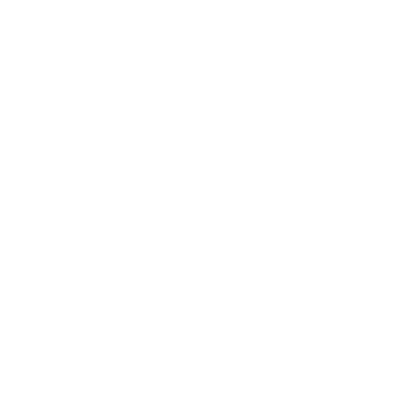 solutii durabile icon